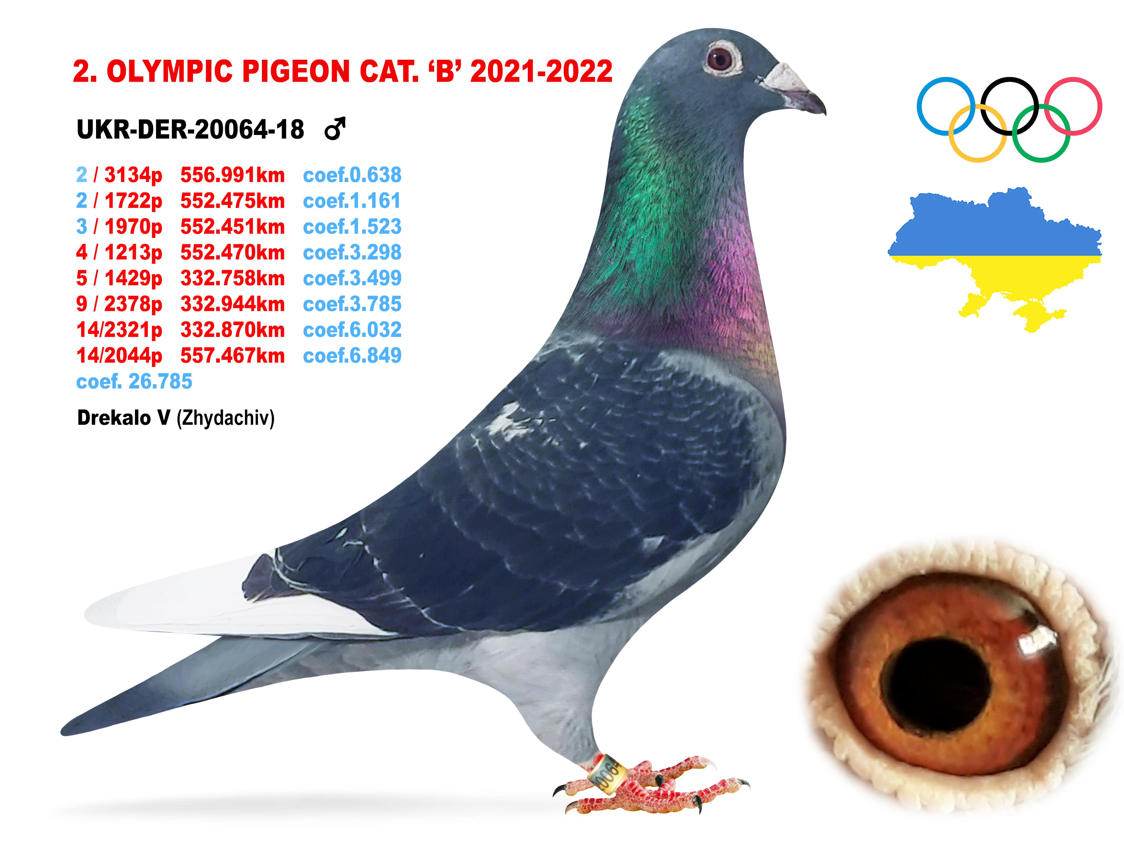 2022-B2